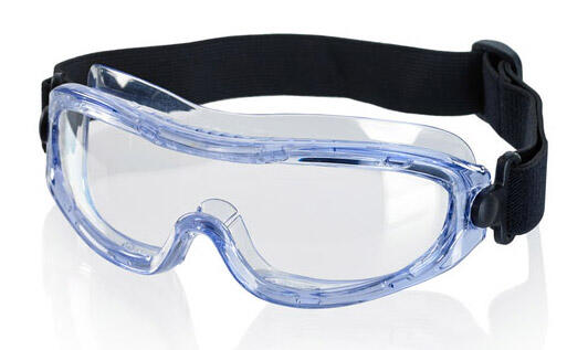 Beeswift Low Profile Safety Goggles Clear