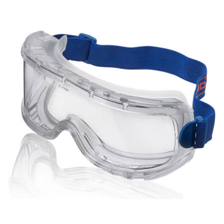 Beeswift Wide Vision Safety Goggles Clear