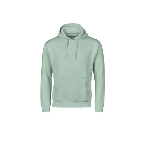 Tee Jays TJ5152 Tee Jays Unlabeled Hooded Sweatshirt Mint