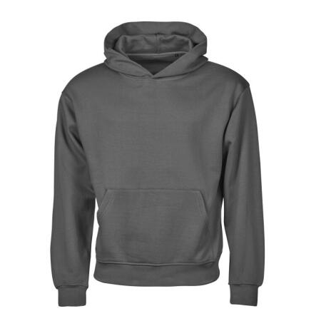 Tee Jays TJ5162 Tee Jays Unlabeled Heavy Loose Fit Hooded Sweat Powder Grey