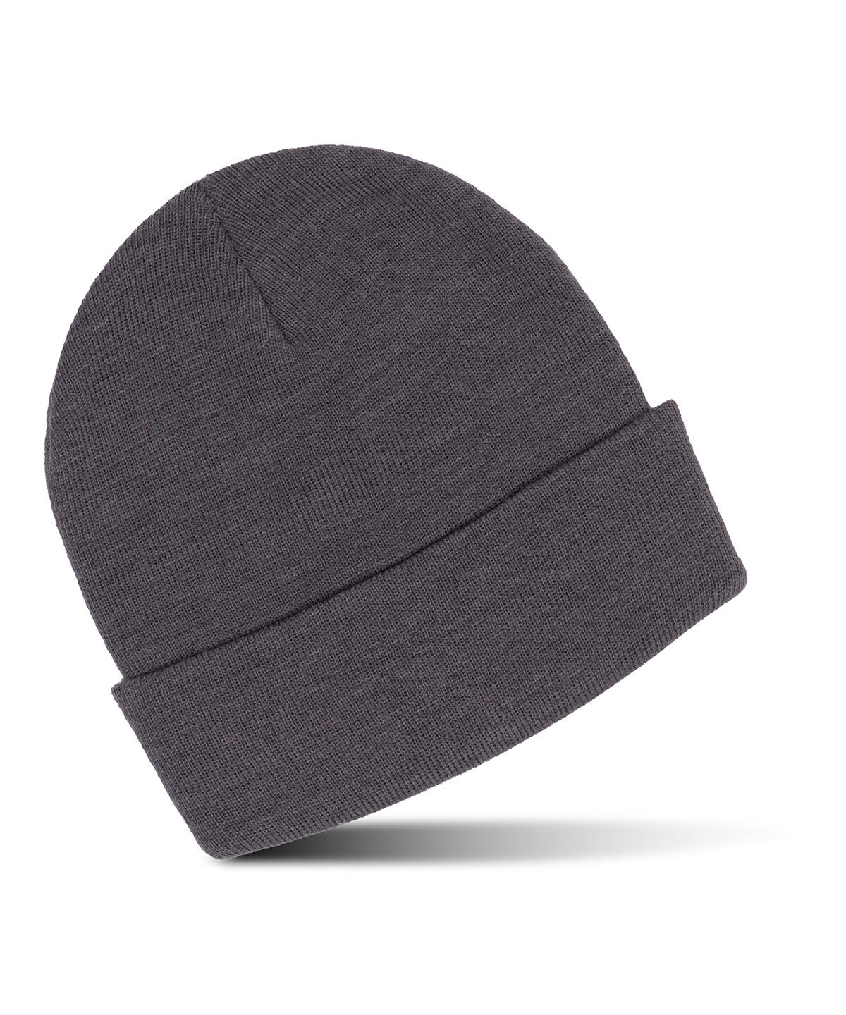 ProRTX RX290 Pro cuffed beanie Grey
